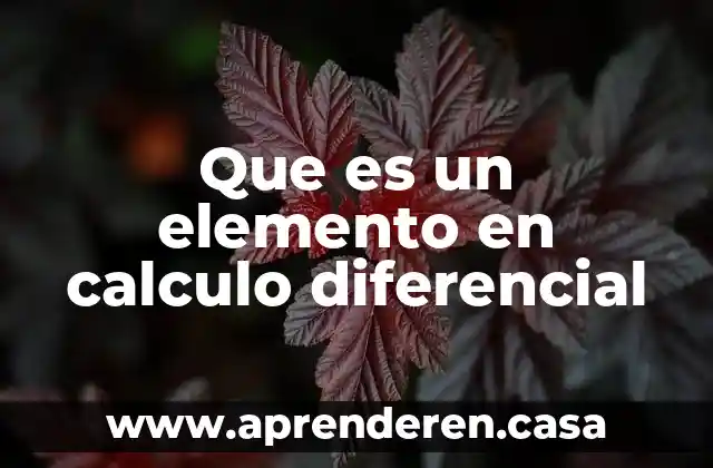 Que es un elemento en calculo diferencial