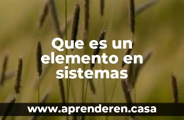 Que es un elemento en sistemas