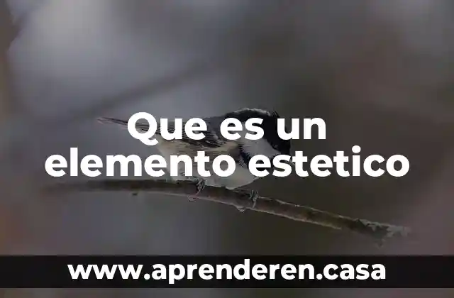 Que es un elemento estetico
