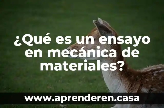 Qué es una chicharra mecánica 3 ¿Qué es un ensayo en mecánica de materiales?