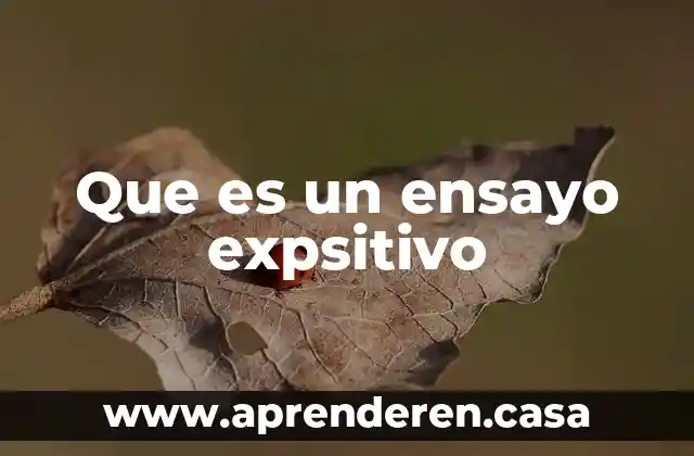 Que es un ensayo expsitivo