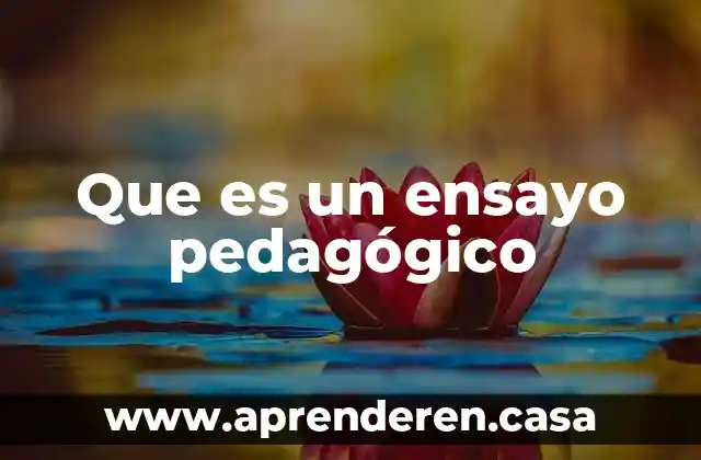 Que es un ensayo pedagógico