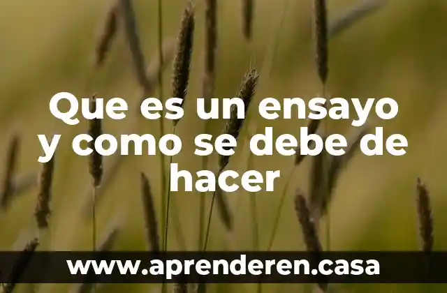 Que es un ensayo y como se debe de hacer