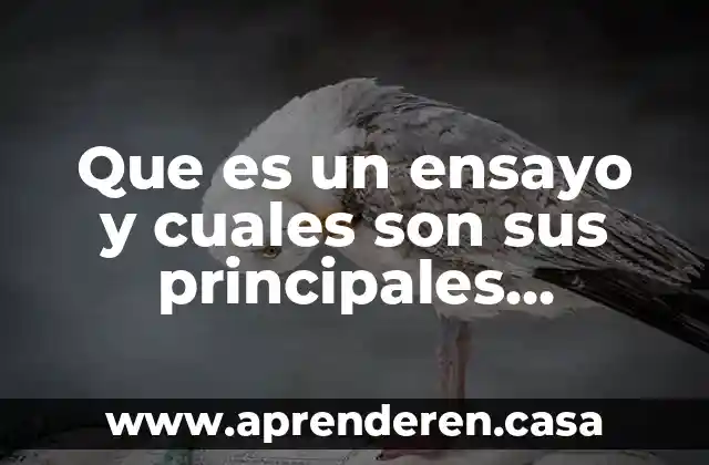 Que es un ensayo y cuales son sus principales caracteristicas