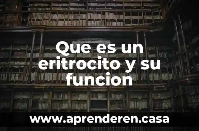 Que es un eritrocito y su funcion