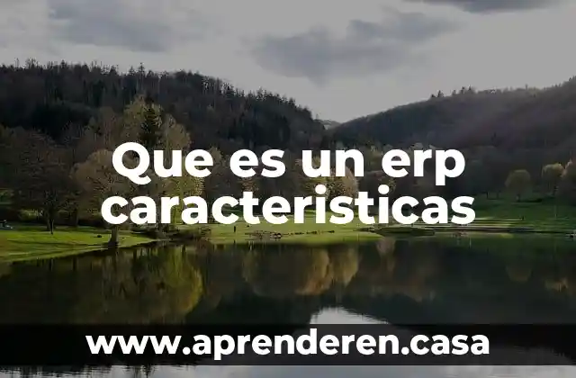 Que es un erp caracteristicas