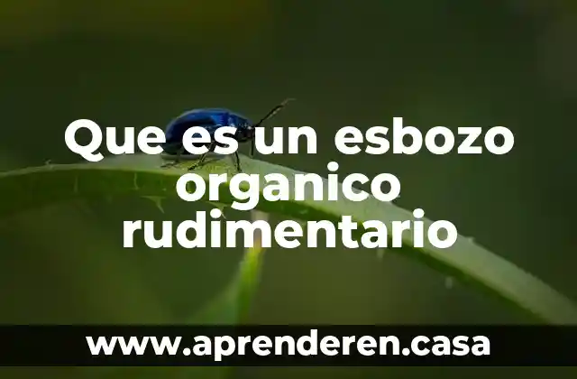 Que es un esbozo organico rudimentario