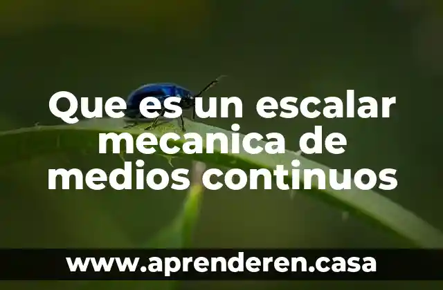 Que es procesamiento de la informacion por medios digitales 3 Que es un escalar mecanica de medios continuos