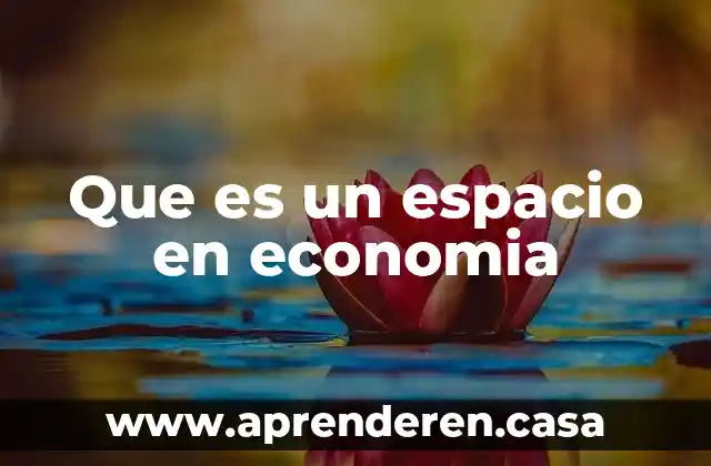 Que es un espacio en economia