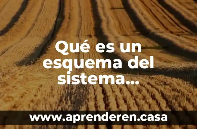 Qué es un esquema del sistema reproductor