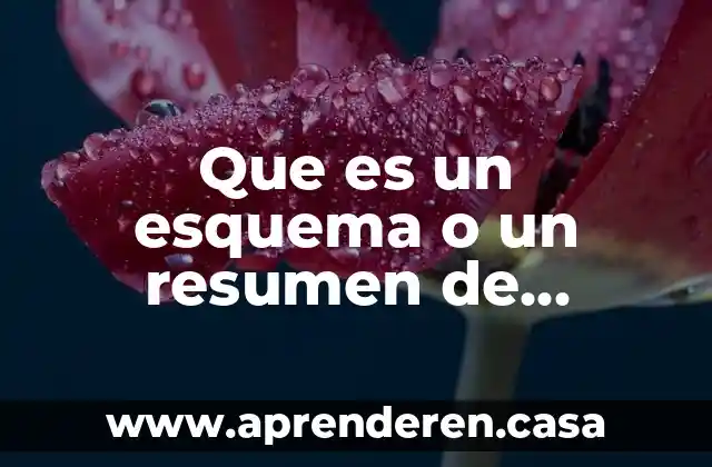 Que es un esquema o un resumen de lectura