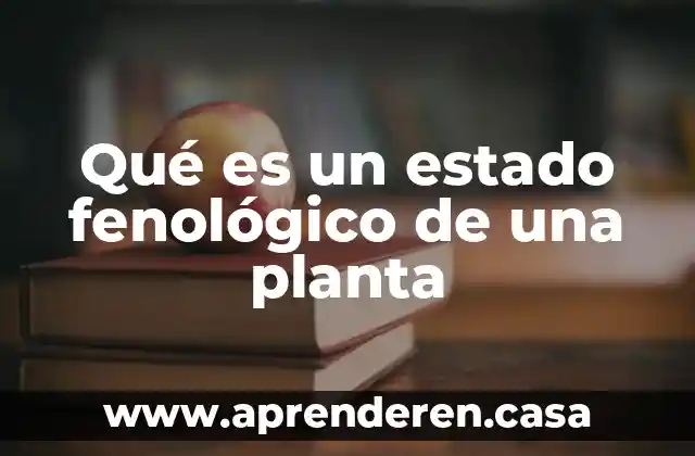 Qué es un estado fenológico de una planta
