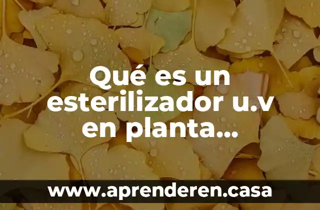 Qué es una planta de gas 5 Qué es un esterilizador u.v en planta purificadora