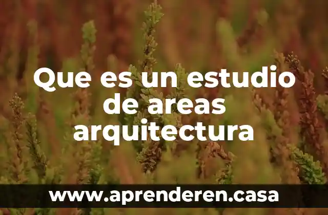Que es un estudio de areas arquitectura