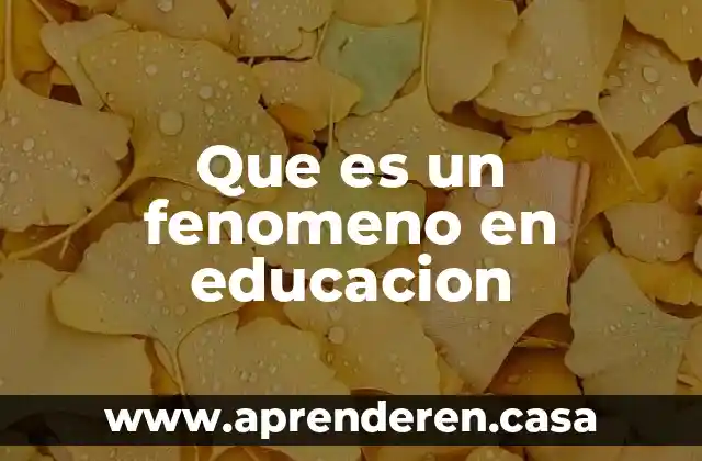 Que es un autorretrato educacion 3 Que es un fenomeno en educacion