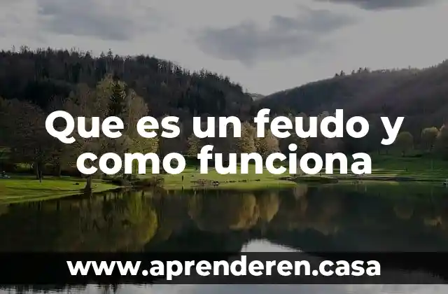 SGBD que es y cómo funciona 3 Que es un feudo y como funciona