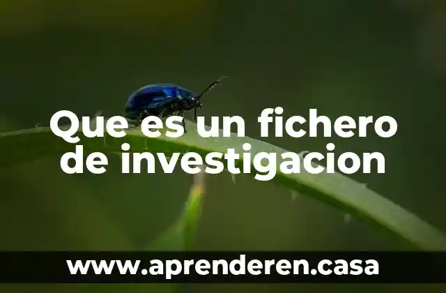 Investigación dialecto-constructiva que es 3 Que es un fichero de investigacion