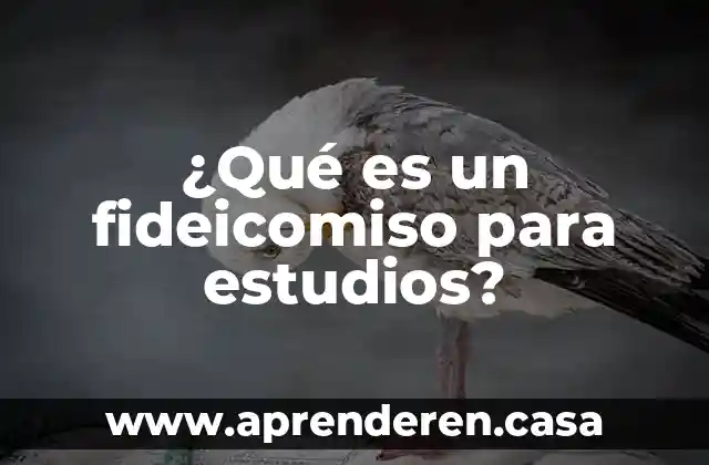 ¿Qué es un fideicomiso para estudios?