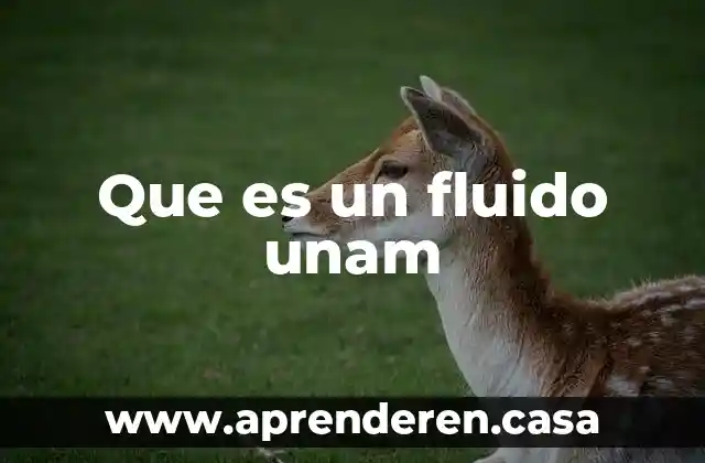 Que es un fluido unam
