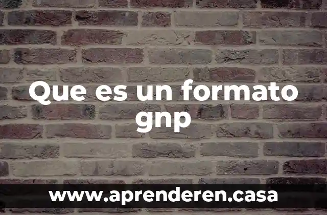 Que es un formato gnp