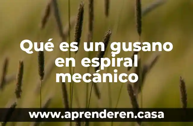 Qué es un gusano en espiral mecánico
