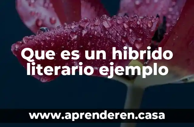 Que es un hibrido literario ejemplo