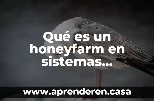 Qué es un honeyfarm en sistemas operativos