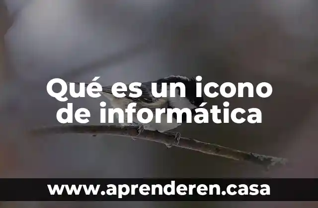 Qué es un icono de informática