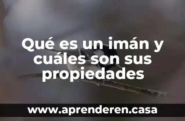 Qué es un imán y cuáles son sus propiedades