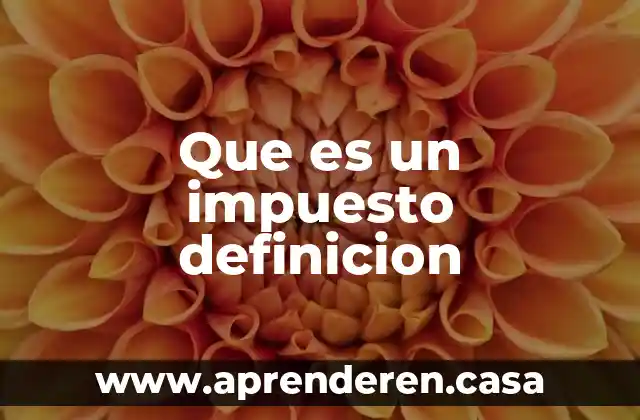 Que es un impuesto definicion