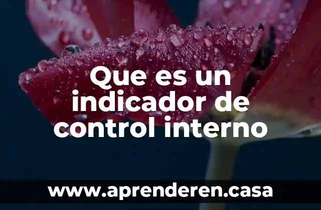 Que es un indicador de control interno