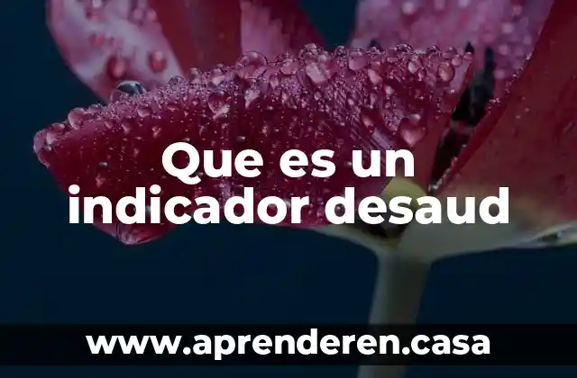 Que es un indicador desaud