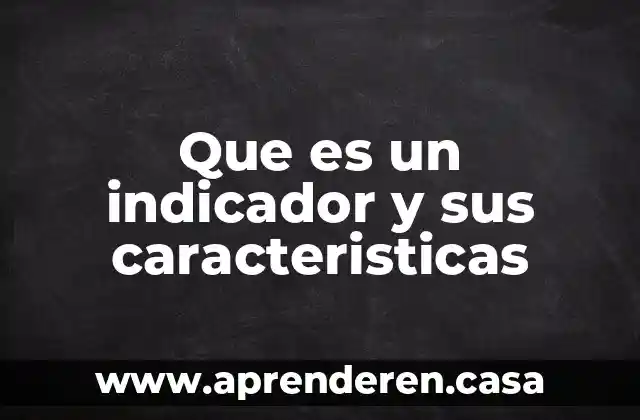 Que es un indicador y sus caracteristicas