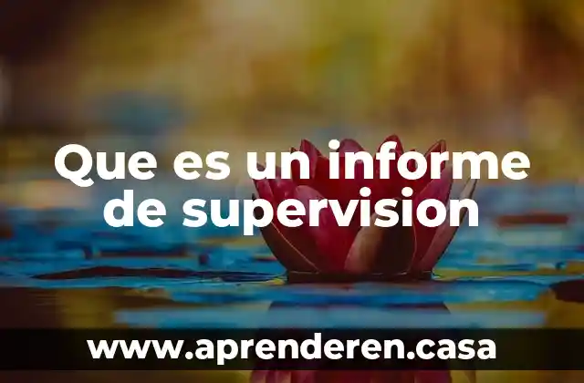 Que es un informe de supervision