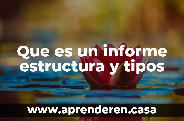 Que es un informe estructura y tipos