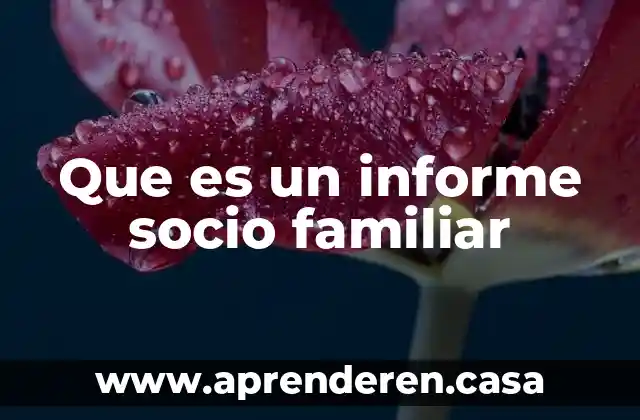Que es un informe socio familiar