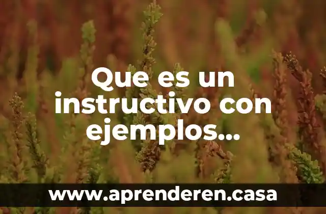 Que es un instructivo con ejemplos ilustrados