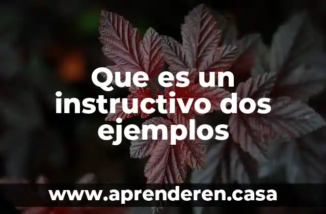 Que es un instructivo dos ejemplos
