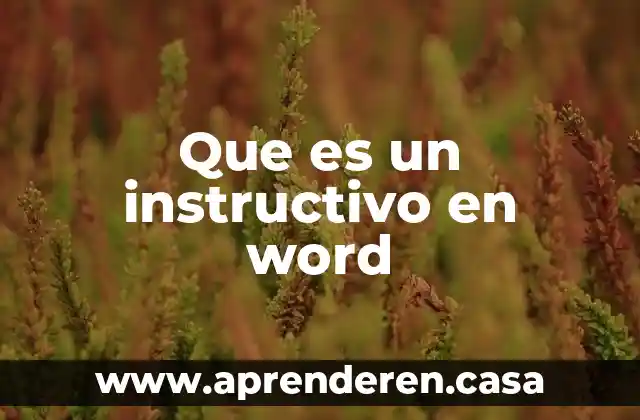 Que es un instructivo en word