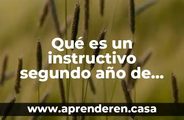 Qué es un instructivo segundo año de primaria