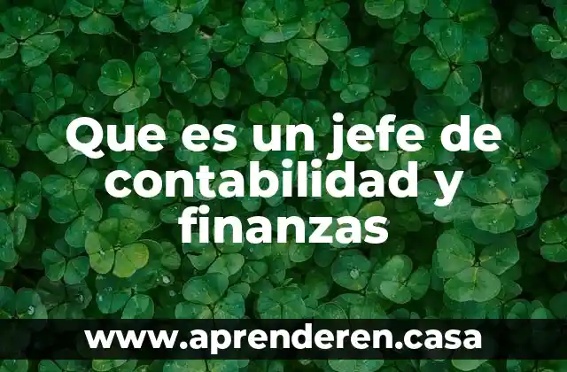 Que es un jefe de contabilidad y finanzas