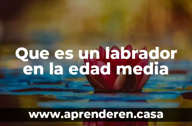 Que es un labrador en la edad media