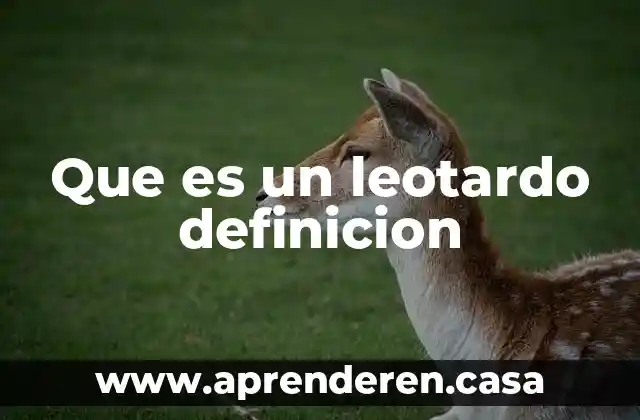 Que es un leotardo definicion