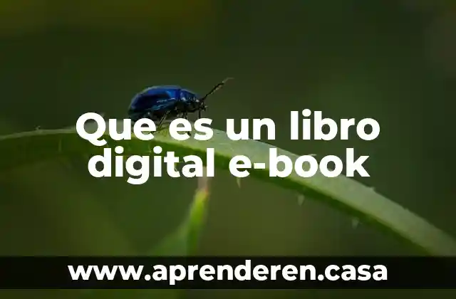 Que es un libro digital e-book
