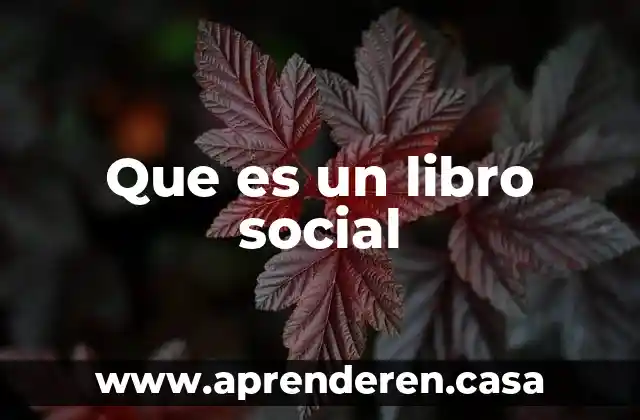 Que es un libro social