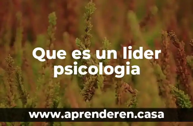 Que es un lider psicologia
