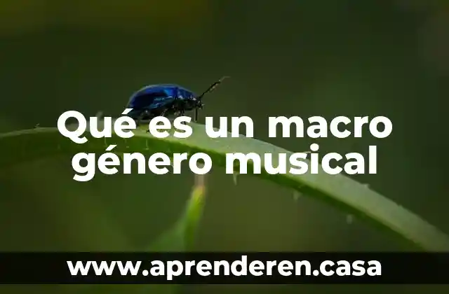 Qué es un macro género musical