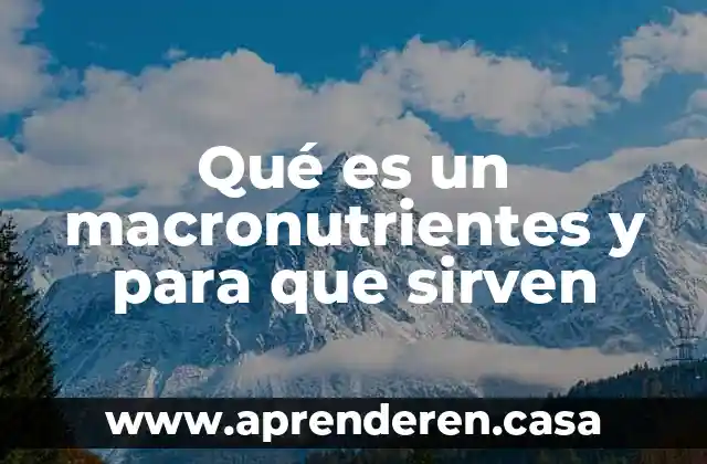 Qué es un macronutrientes y para que sirven