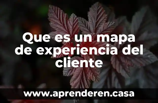 Que es un mapa de experiencia del cliente