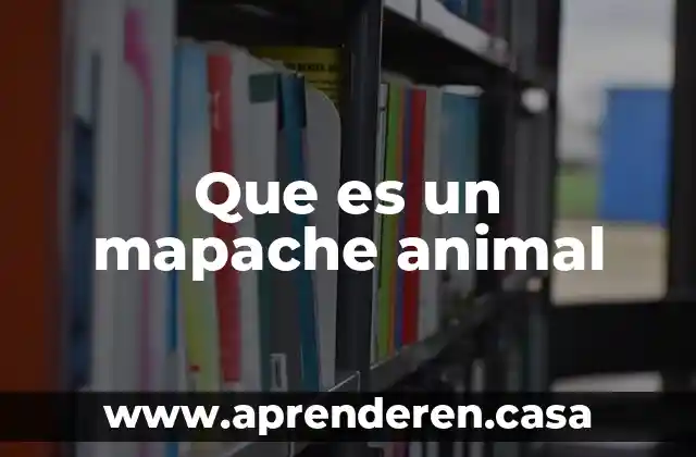 Que es promiscuidad animal 3 Que es un mapache animal